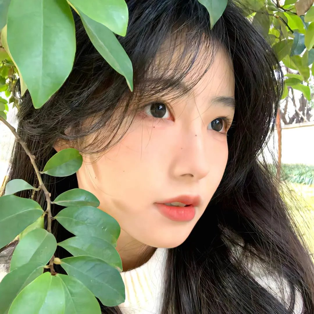 极北以北